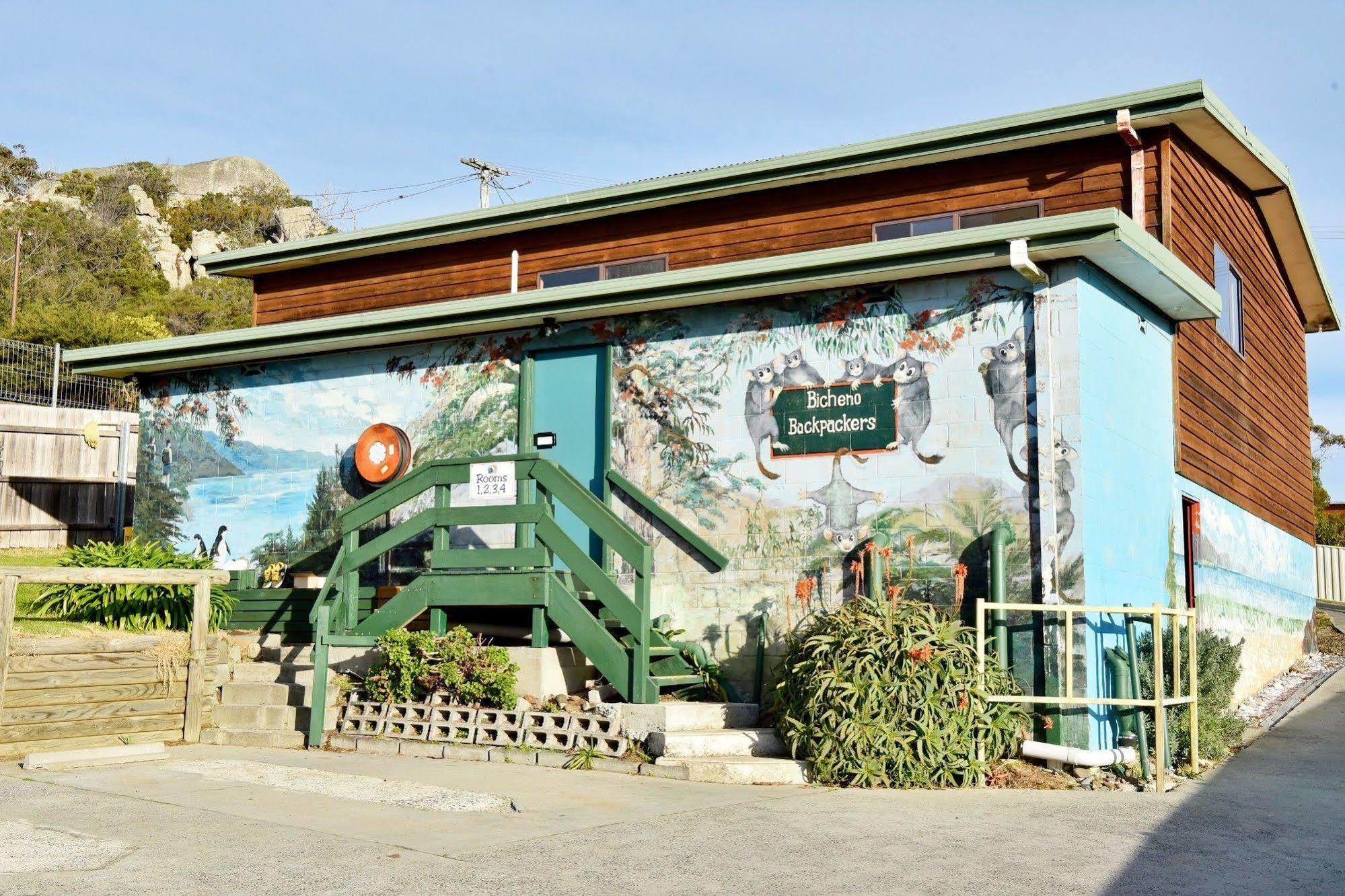 Bicheno Backpackers Hostel Exterior photo